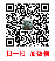 FD松茸批發(fā)價(jià)格