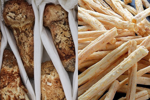 沙參可以和松茸一起燉雞嗎，松茸炒完為什么會苦