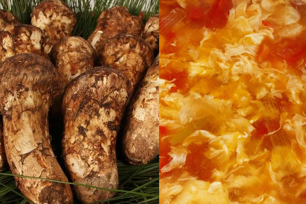 松茸西紅柿雞蛋可以一起吃嗎，松茸可與瑤柱一起煲湯嗎