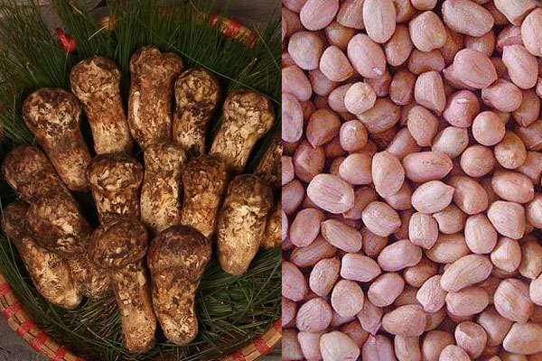 松茸能和花生一起燉嗎，松茸能和竹蓀一起燉嗎