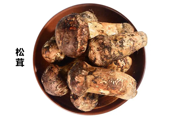 為什么有的松茸很便宜，市場上的20元一斤的松茸是什么