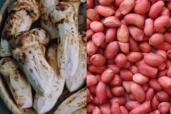 松茸可以和花生一起煲湯嗎，松茸能和莧菜一起吃嗎