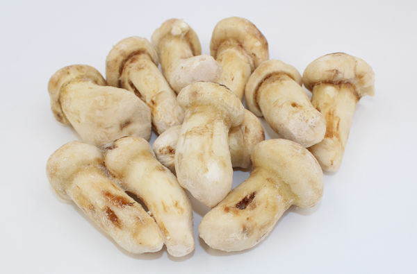 冰凍松茸 冰凍松茸