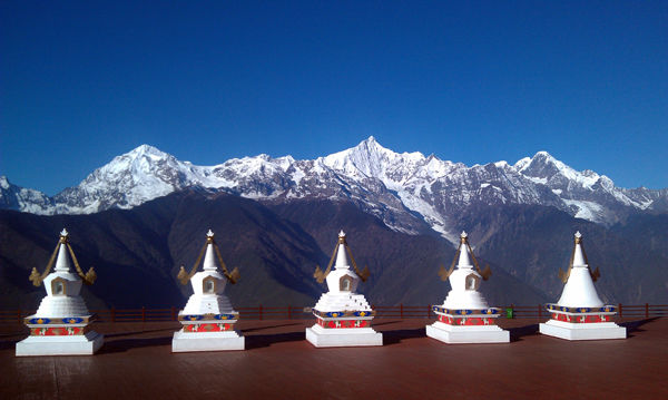 云南香格里拉松茸 云南香格里拉松茸