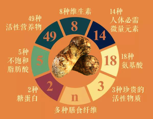 松茸的營養(yǎng)價(jià)值