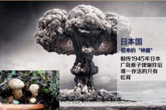 松茸有抗癌抗腫瘤的功效是真的嗎？日本專家給出答案