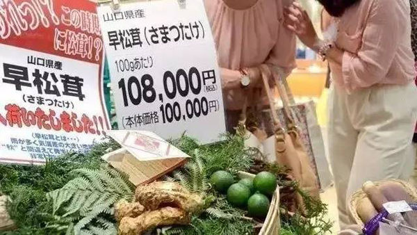 日本超市里的松茸