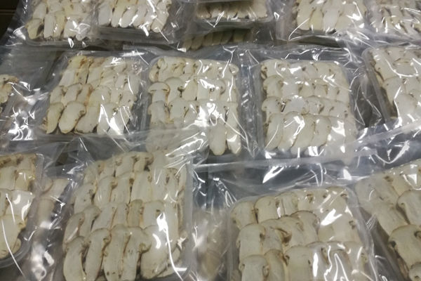 FD松茸營養(yǎng)價值