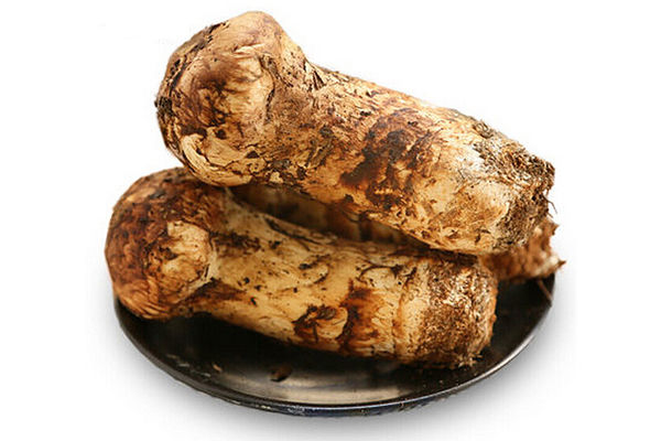 云南香格里拉松茸