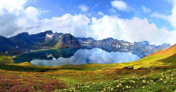 東北長白山松茸