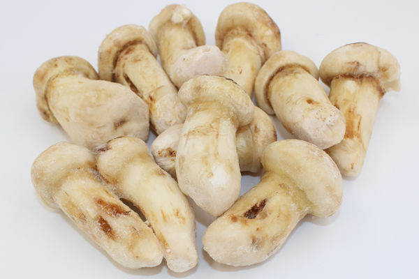 冰凍松茸價(jià)格