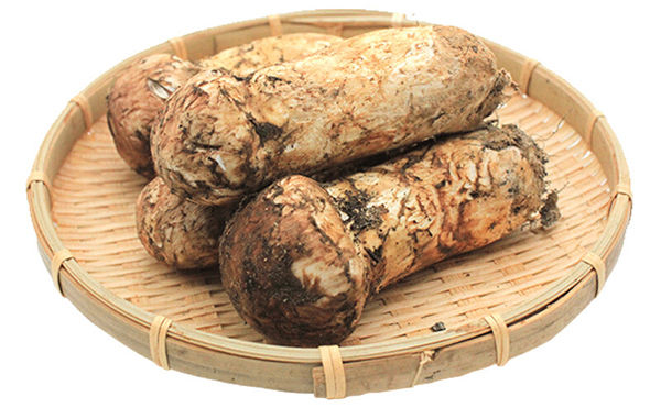 新鮮松茸的保存方法 新鮮松茸的保存方法