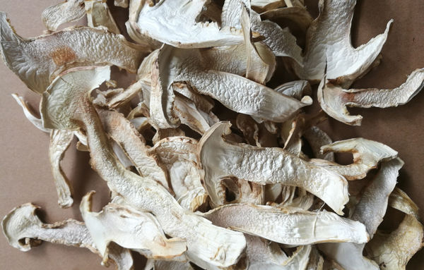 干松茸的保存方法