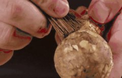 [揭秘]新鮮松茸怎么清洗，教你如何正確清洗松茸的方法