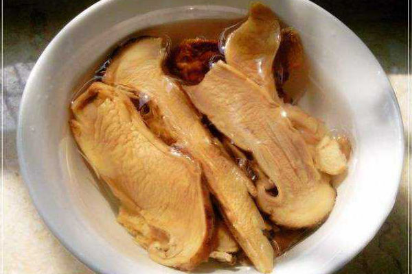 干松茸怎么泡發(fā)