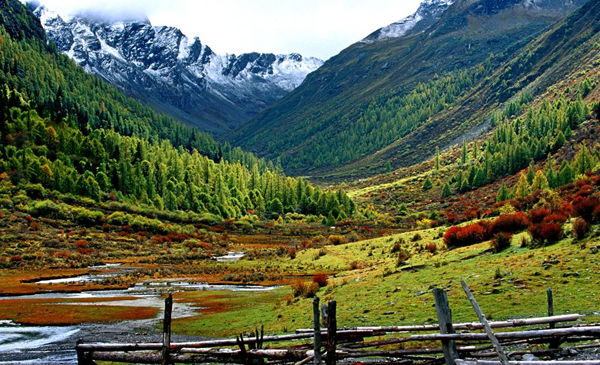 小金松茸生長(zhǎng)地理環(huán)境