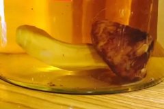 松茸泡酒的方法以及有什么功效作用