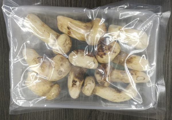 FD凍干松茸泡酒