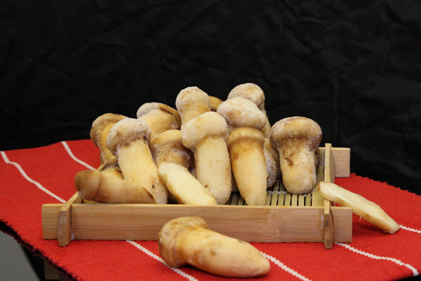 冰凍松茸怎么解凍