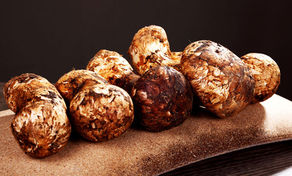 松茸為什么越來(lái)越貴