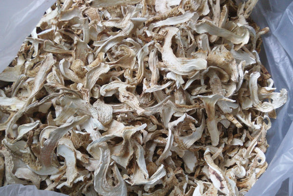 北京干松茸多少錢一斤