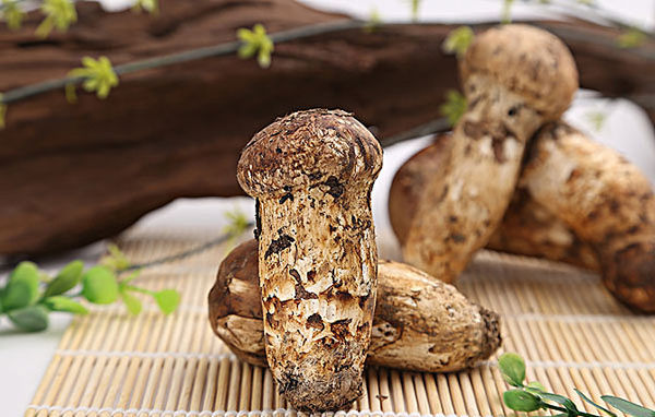 新鮮松茸多久吃一次