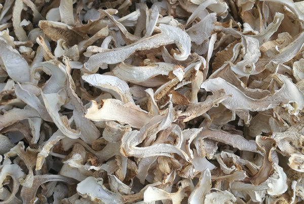 長白干松茸多少錢一斤