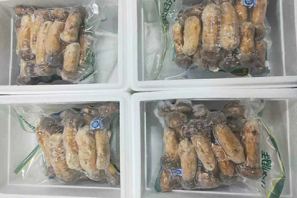 東北冰凍松茸圖