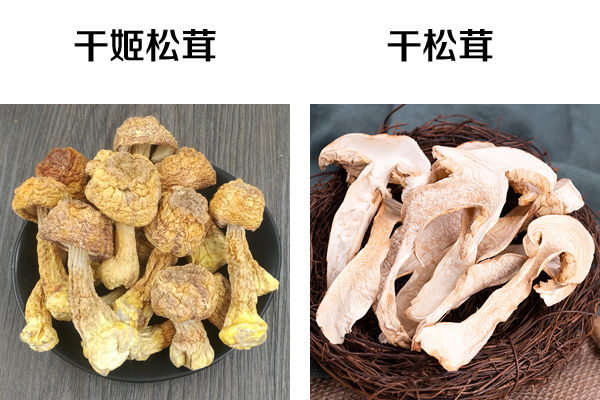 干姬松茸和干松茸的區(qū)別圖