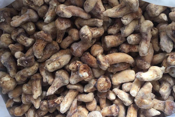 冰凍松茸發(fā)黃變黑