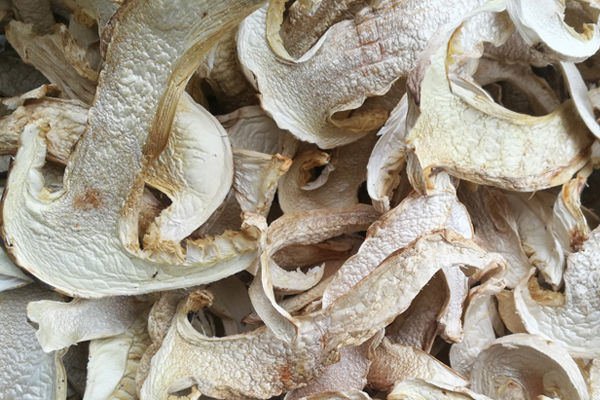 廣州干松茸價(jià)格