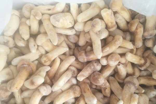 上海冰凍松茸價(jià)格