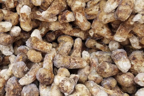 新鮮松茸干凍保存