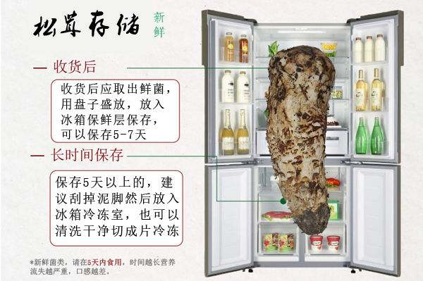 新鮮松茸的保存方法