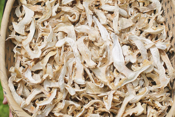 新鮮松茸曬干保存