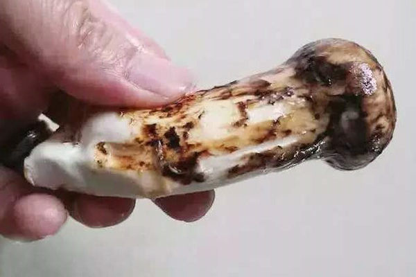 新鮮松茸的清洗方法