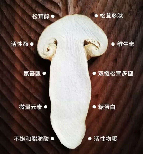 新鮮松茸原味湯的營養(yǎng)價(jià)值和功效作用