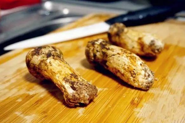 蔥花清燉松茸湯有哪些竅門