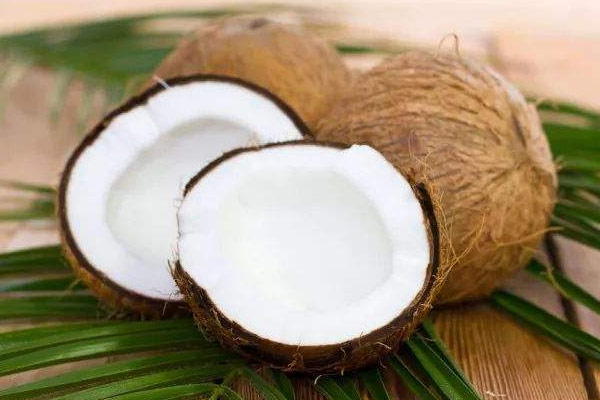 新鮮松茸椰子煲雞的食用禁忌