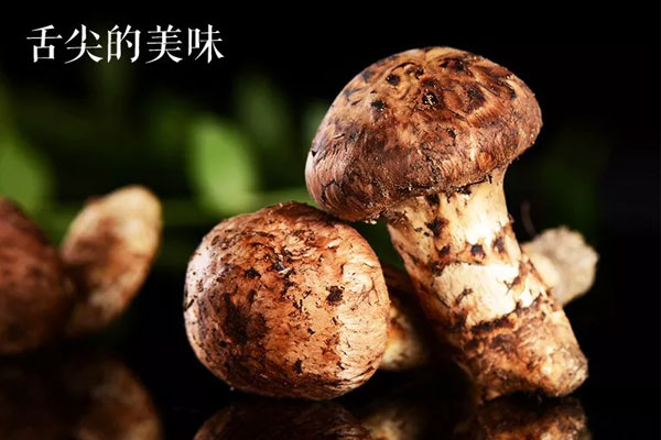 新鮮松茸炒飯怎么做好吃竅門