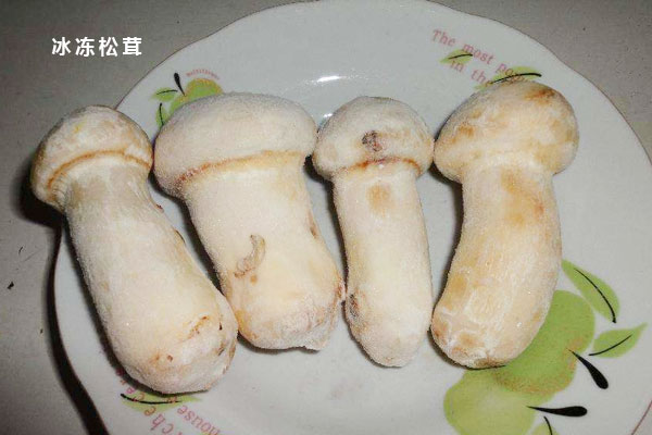 冰凍松茸瘦肉粥的食用禁忌