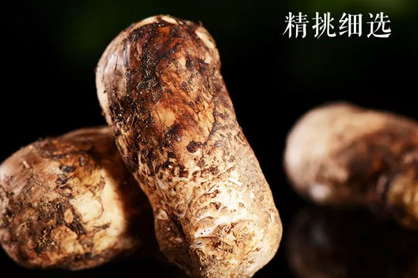 野生鮮松茸鯽魚湯的營養(yǎng)價值與功效作用