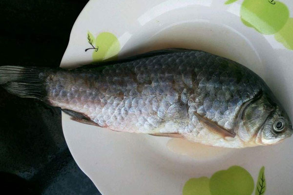 野生鮮松茸鯽魚湯的做法竅門