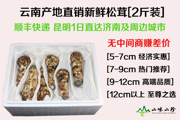 濟(jì)南松茸價(jià)格多少錢(qián)一斤，濟(jì)南哪里有松茸賣(mài)