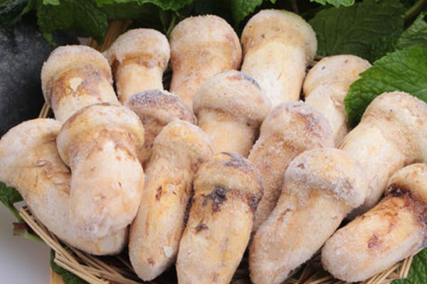 松茸鰻魚湯的做法竅門