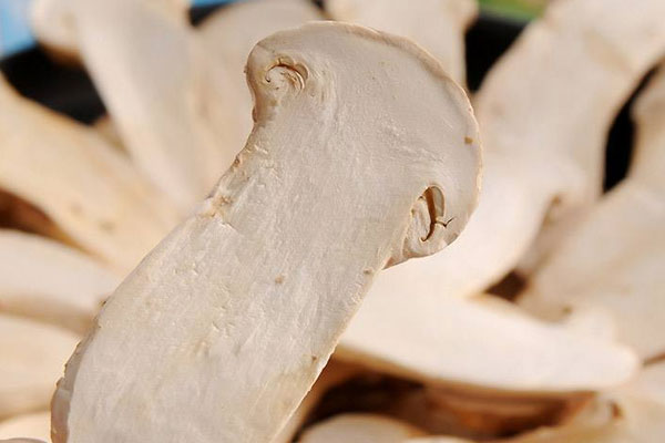 FD凍干松茸紅棗黑米粥的營養(yǎng)價(jià)值和功效作用