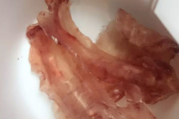 干松茸烏雞花膠湯的食用禁忌