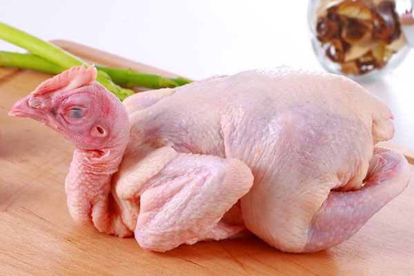 新鮮松茸土雞湯的食用禁忌