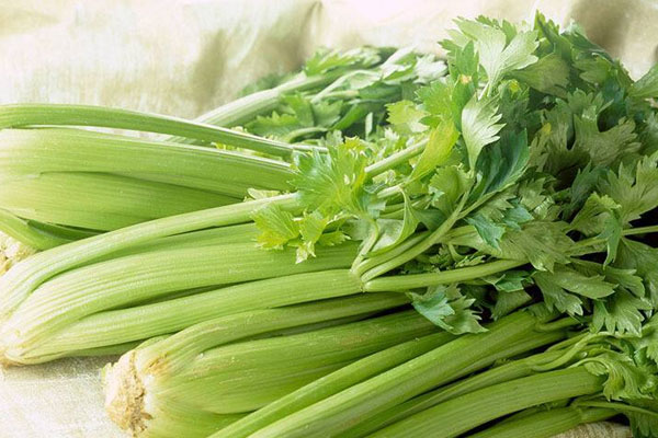 新鮮松茸炒西芹的營養(yǎng)價值和功效作用