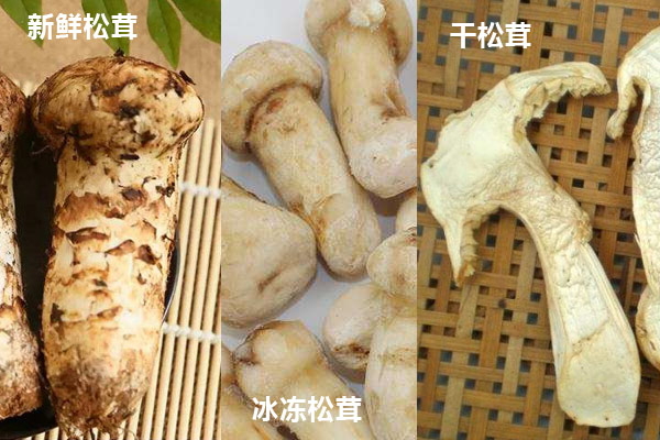 松茸做湯煮多久合適